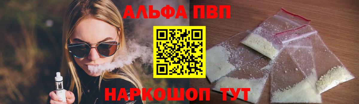 Альфа ПВП СК КРИС Урус-Мартан