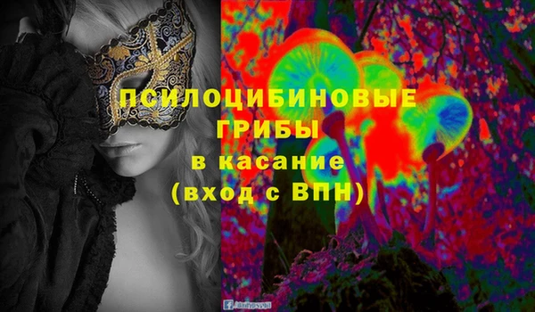 хмурый Михайлов