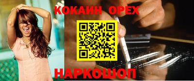 стафф Кандалакша