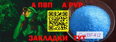 стафф Кандалакша