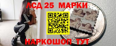 стафф Кандалакша