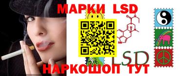 стафф Кандалакша