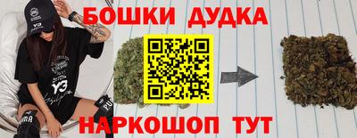 стафф Кандалакша