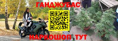 стафф Кандалакша