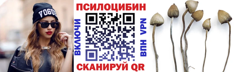 omg как войти  Урус-Мартан  Галлюциногенные грибы мицелий 