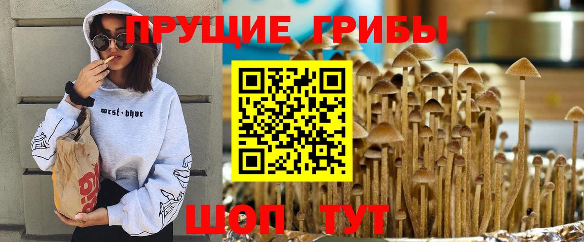 Псилоцибиновые грибы MAGIC MUSHROOMS Урус-Мартан