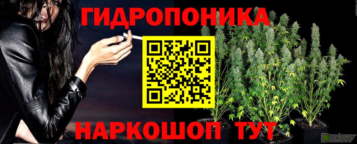 Марихуана Amnesia  Бошки Шишки VHQ  Бошки Шишки Amnesia  Урус-Мартан  Марихуана Ganja 